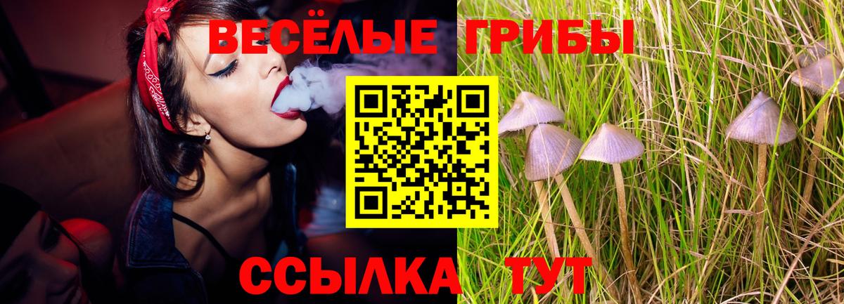Псилоцибиновые грибы Psilocybe  Галлюциногенные грибы Cubensis  Карпинск  Вход с VPN 